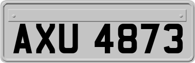 AXU4873