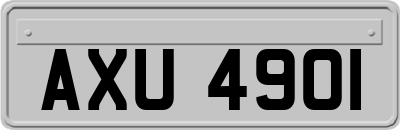 AXU4901