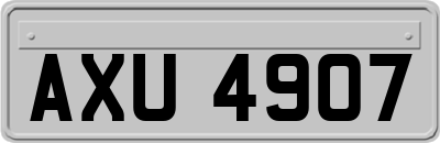 AXU4907