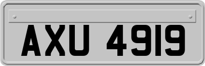 AXU4919