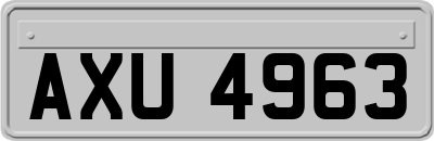 AXU4963