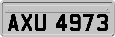 AXU4973