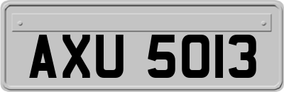 AXU5013