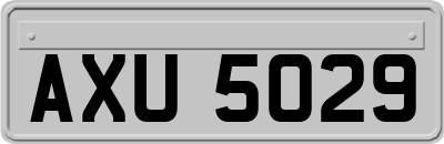 AXU5029