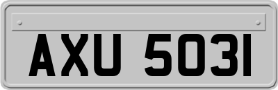 AXU5031