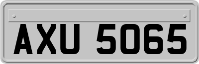 AXU5065