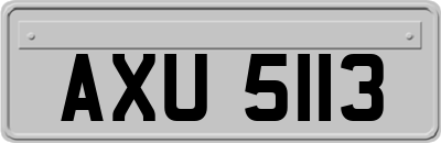 AXU5113