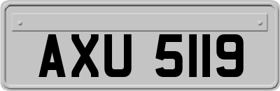 AXU5119