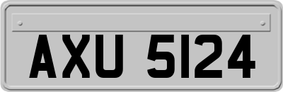 AXU5124