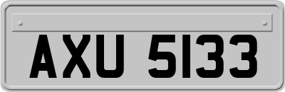AXU5133