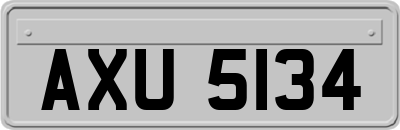 AXU5134