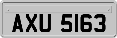 AXU5163