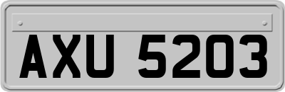AXU5203