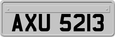 AXU5213