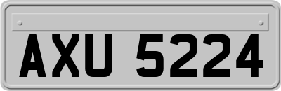 AXU5224