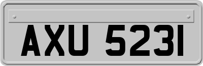 AXU5231
