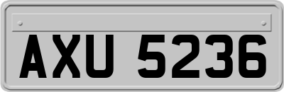 AXU5236