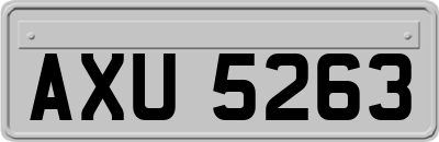 AXU5263