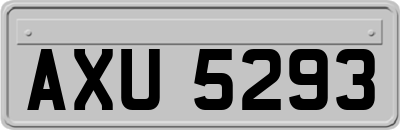 AXU5293