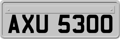 AXU5300