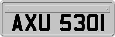 AXU5301