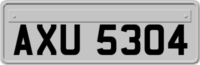 AXU5304