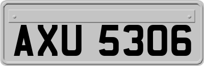 AXU5306