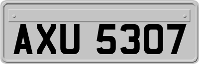 AXU5307