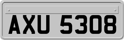 AXU5308