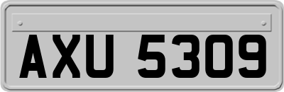 AXU5309