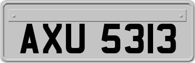 AXU5313