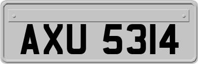 AXU5314