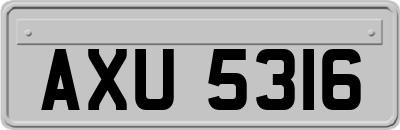 AXU5316