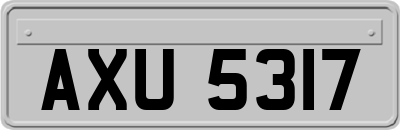 AXU5317