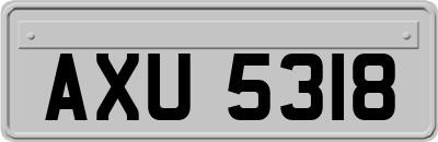 AXU5318