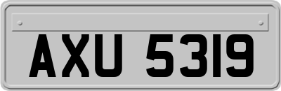 AXU5319