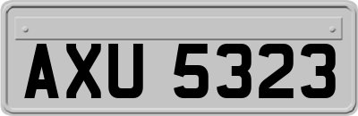 AXU5323