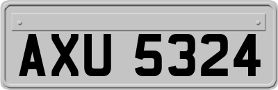 AXU5324
