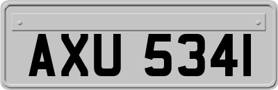 AXU5341