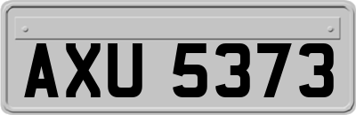 AXU5373