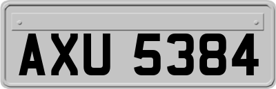 AXU5384