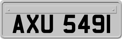 AXU5491