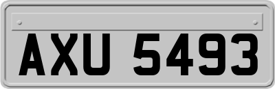 AXU5493