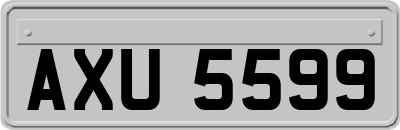 AXU5599