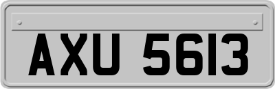 AXU5613