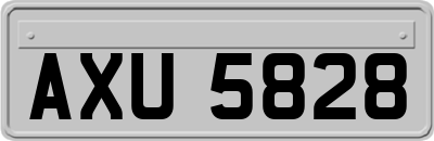AXU5828