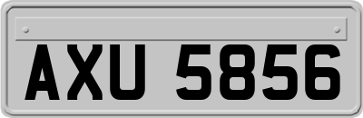 AXU5856