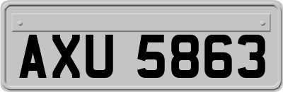 AXU5863
