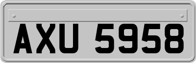 AXU5958