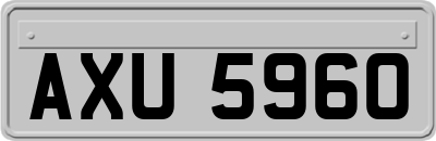 AXU5960